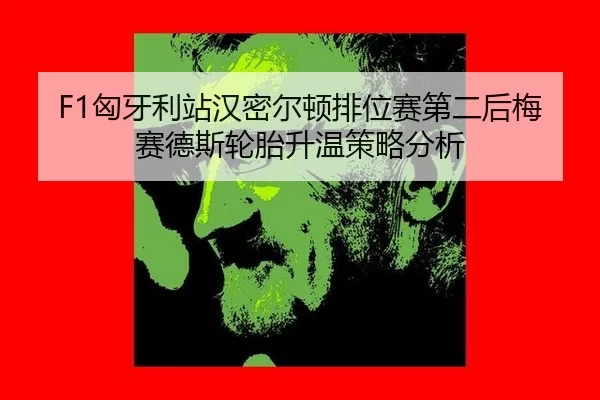 F1匈牙利站汉密尔顿排位赛第二后梅赛德斯轮胎升温策略分析